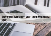 郑州专业网站建设软件公司（郑州专业的网站建设）